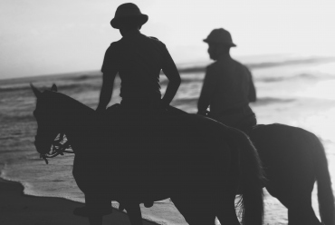 History Of Equine Assisted Therapy